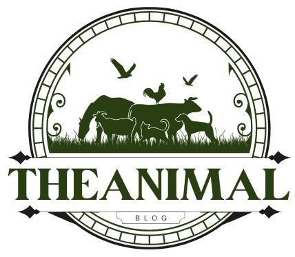 theanimalblog