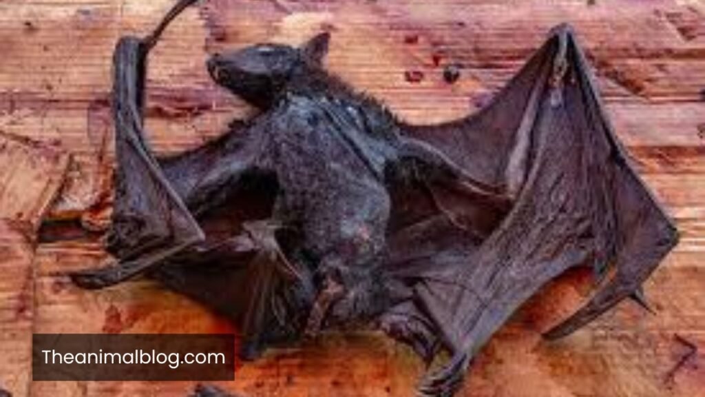 bat meaning spiritual