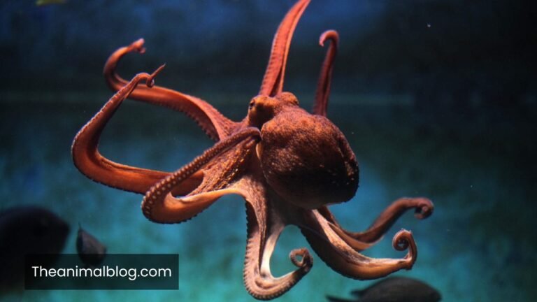 animals that are sneaky