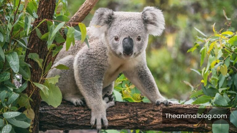 animal with the lowest IQ