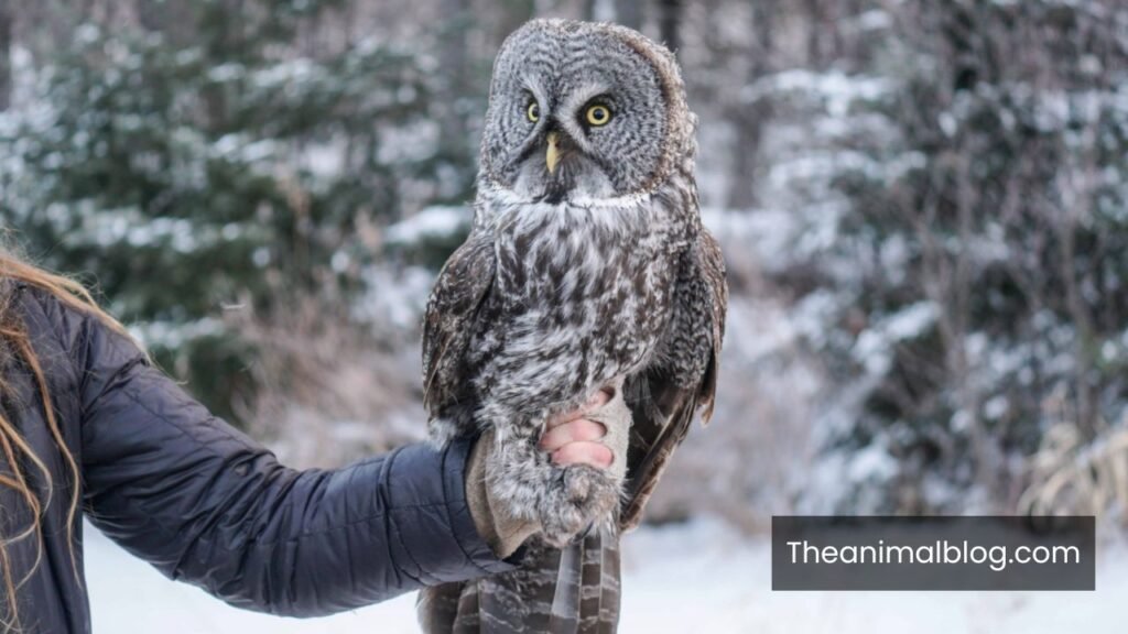 quietest animal